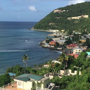 Meet your Posher, Brandi